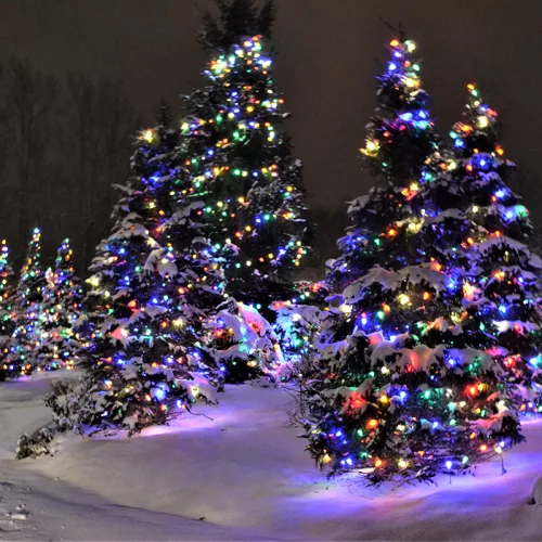 Dekortrend Kültéri toldható 100 LED fényfüzér, Multi, 1000 cm