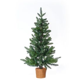 Douglas mini vianočný stromček 90 cm