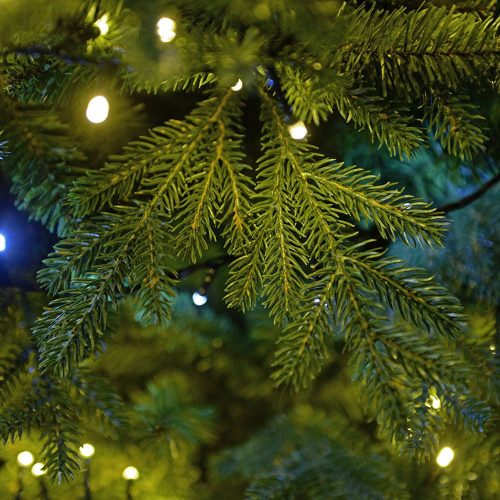 Karpatický umelý vianočný stromček 180 cm