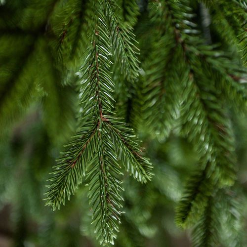 Evergreen Umelý vianočný stromček 180 cm, Full 3D