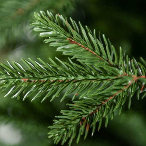 Evergreen Umelý vianočný stromček 180 cm, Full 3D