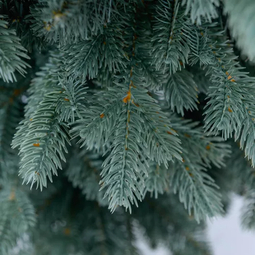 Silver Slim Pine Műfenyő 210 cm