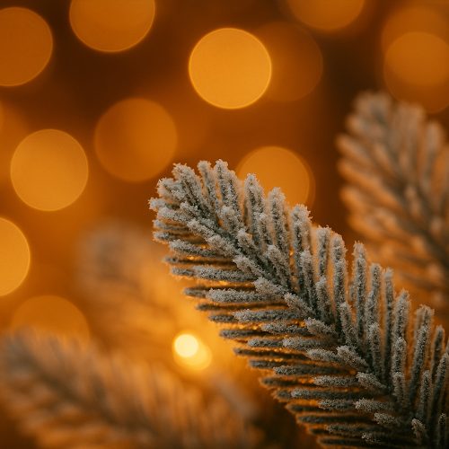 FROZEN LIGHTS veniec 60 cm