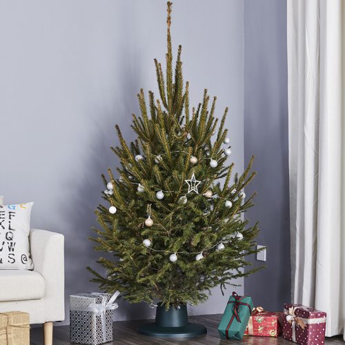 Ringo stojan na vianočný stromček, zelený