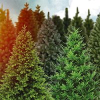 Všetky umelé vianočné stromčeky